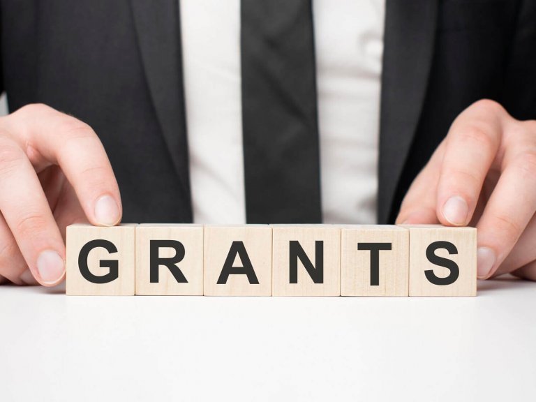 Government Grants Government Grants