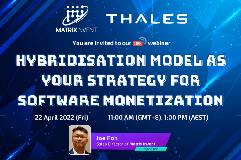 Hybridisation Model as Software Monetization Strategy